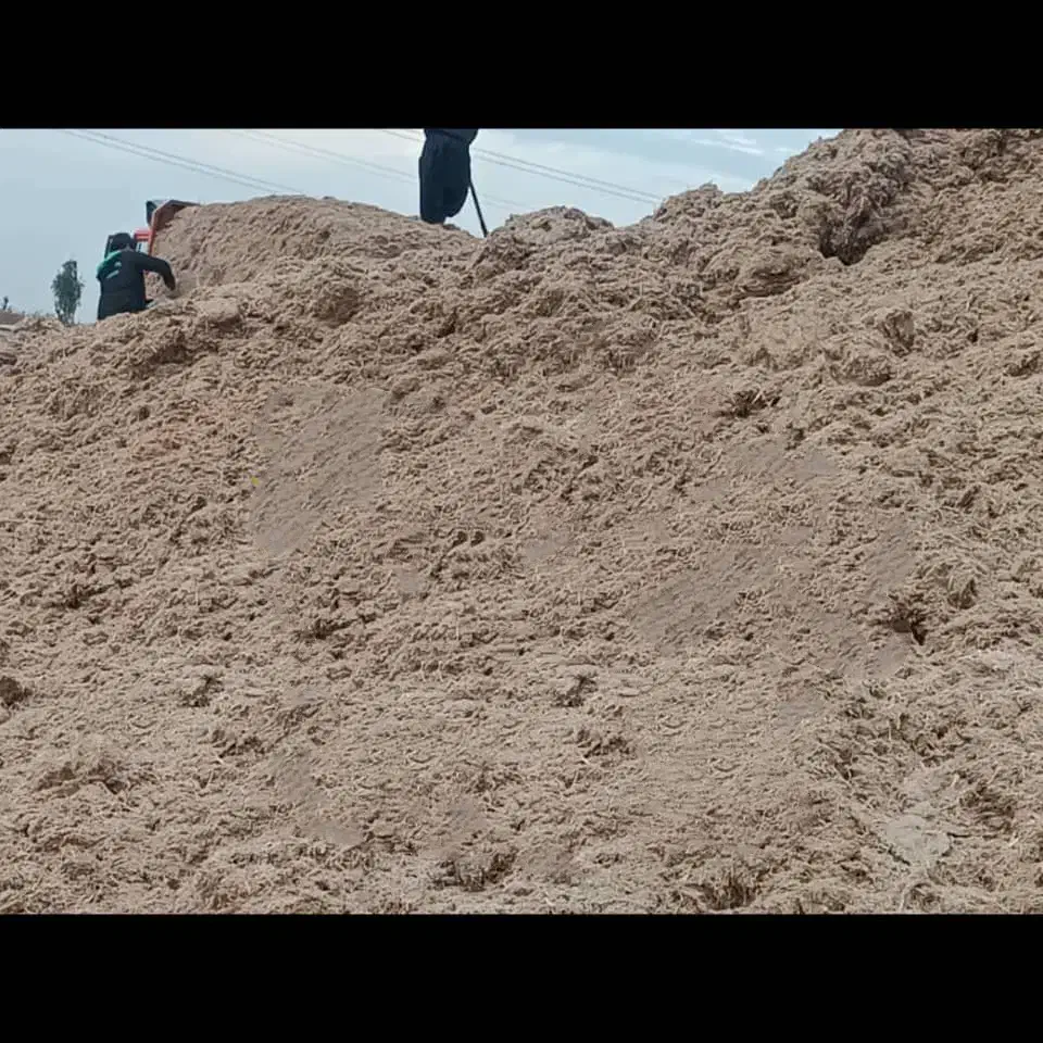 کاه باگاس|لوازم جانبی حیوانات|قزوین, |دیوار