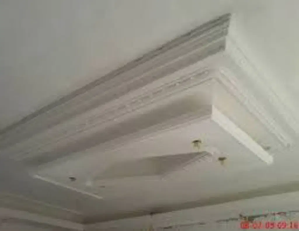 گچکار|خدمات پیشه و مهارت|نیشابور, شهرک ولیعصر|دیوار