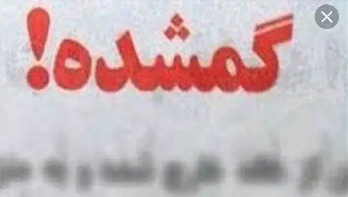 النگو گم کردم|جواهرات|قم, دورشهر|دیوار