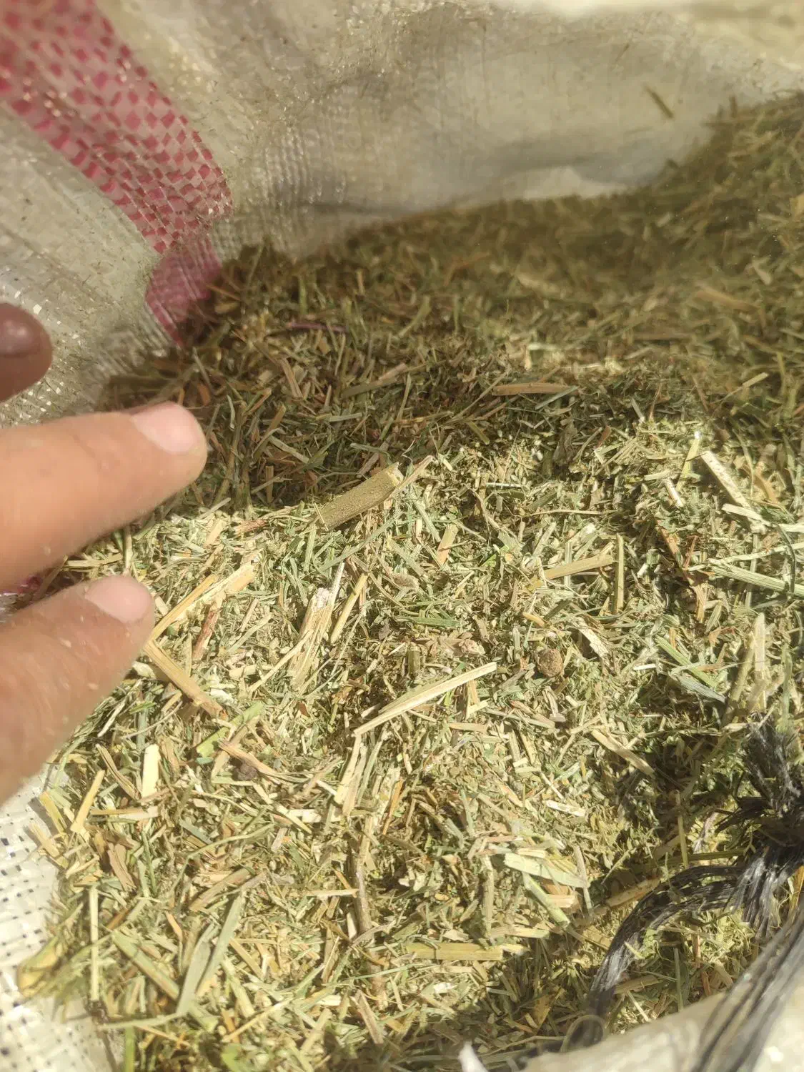 خوراک دام یونجه تمیز خرمنکوب|لوازم جانبی حیوانات|دهدشت, |دیوار