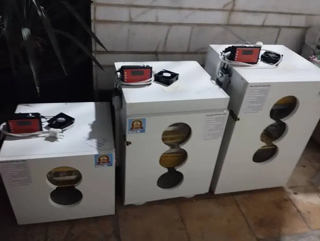 دستگاه تمام اتوماتیک جوجه کشی با راندمان بالا|لوازم جانبی حیوانات|همدان, |دیوار