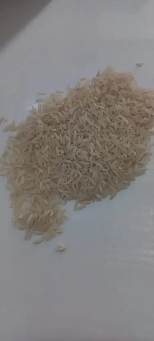 انواع برنج پاکستانی ۱۱۲۱ و سوپر کرنل|خوردنی و آشامیدنی|مشهد, آپارتمان های مرتفع|دیوار