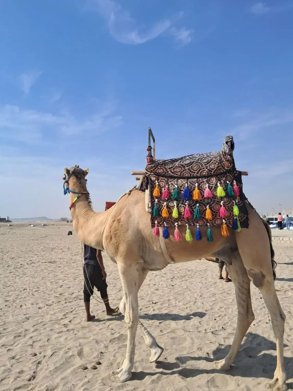 تورقشم|تور و چارتر|مشهد, هفده شهریور|دیوار