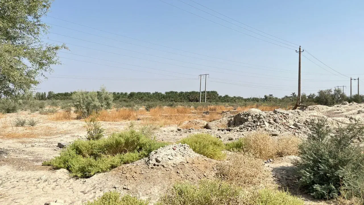 زمین کشاورزی موقعیت خوب|فروش دفتر صنعتی، کشاورزی، تجاری|بمپور, |دیوار