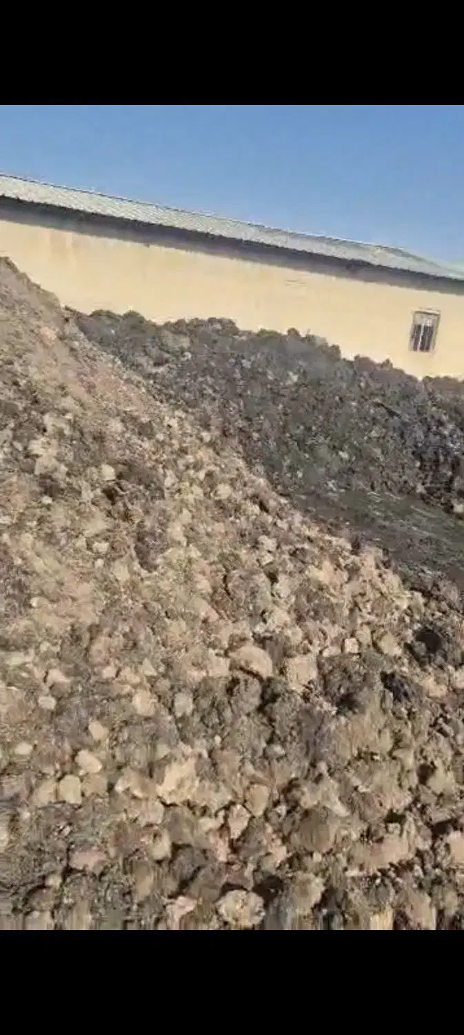 کودمرغی|خدمات باغبانی و درختکاری|نسیمشهر, |دیوار