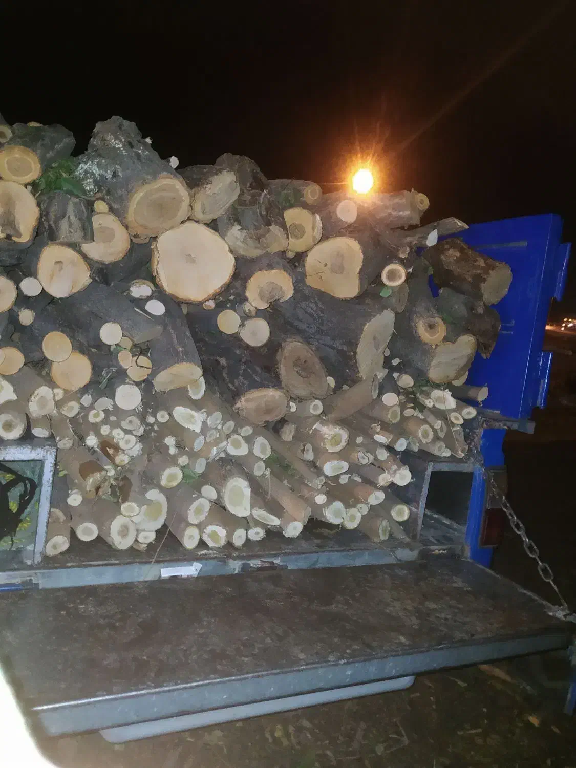 خرید انواع چوب|خدمات باغبانی و درختکاری|دورود, |دیوار