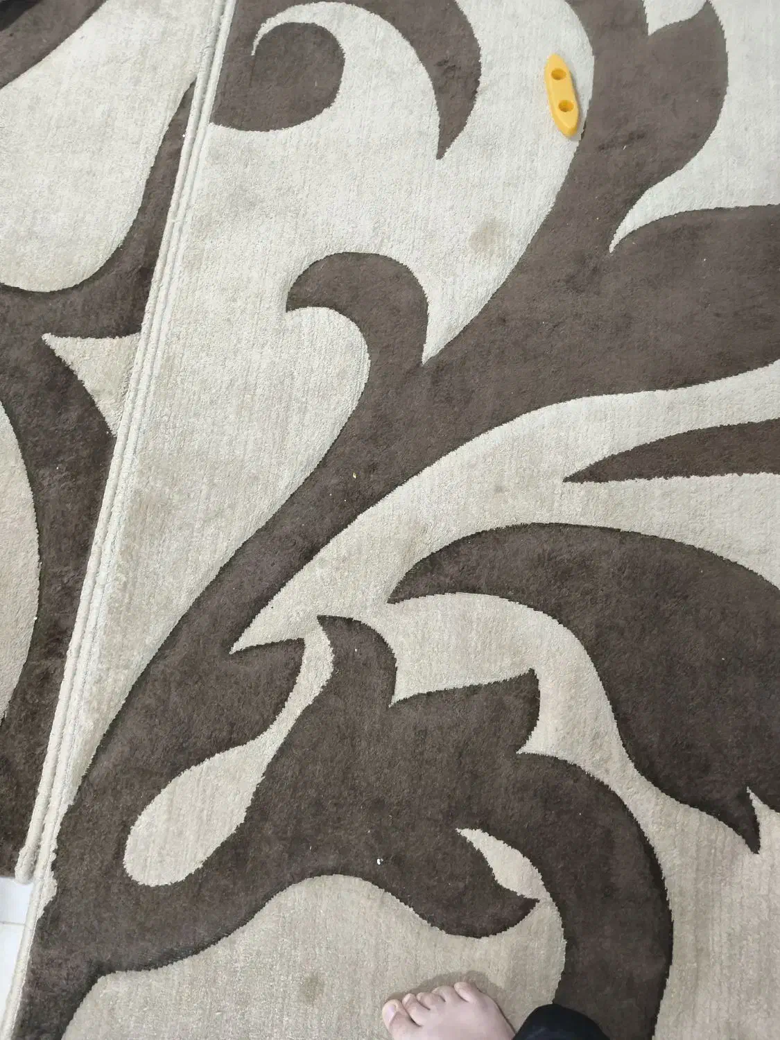 فرش ۶ متری|فرش|رشت, معلولین|دیوار