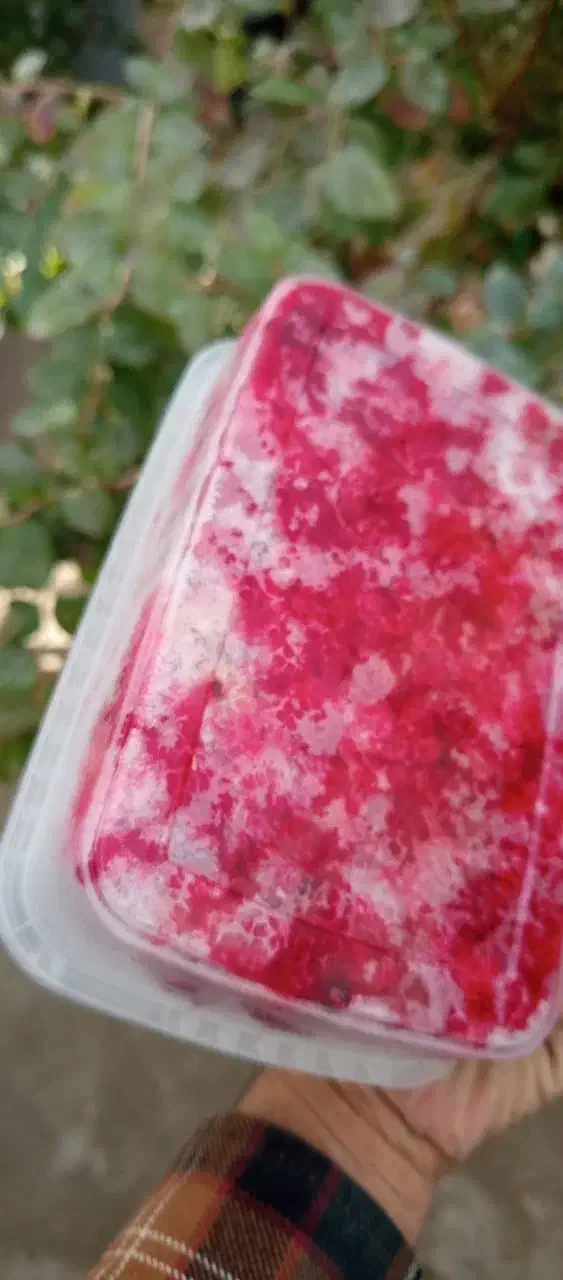 پخش رزبری ومیوه های استوایی در رشت|خوردنی و آشامیدنی|رشت, پستک|دیوار