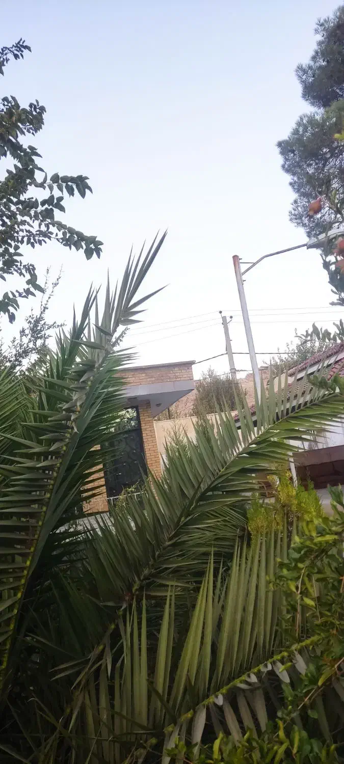 باغ ویلای|فروش خانه و ویلا|شیراز, بید زرد|دیوار