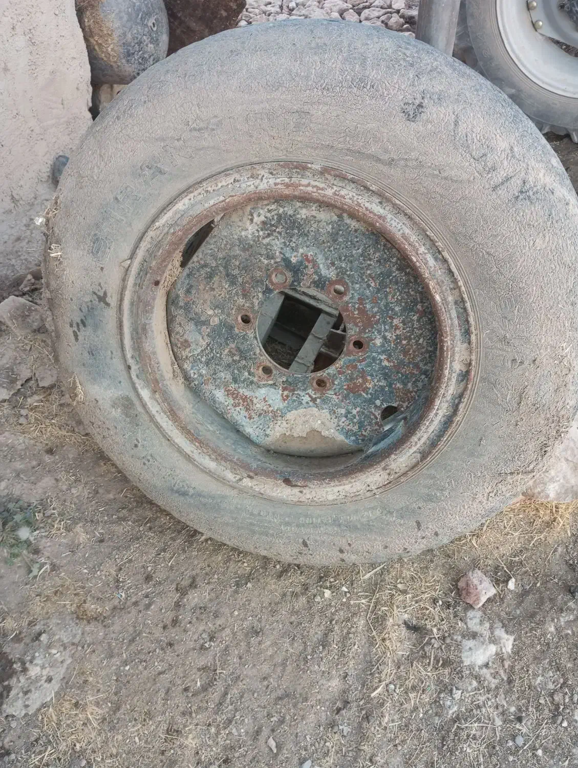 رینگ و لاستیک بیست|قطعات یدکی و لوازم جانبی|دالاهو, |دیوار