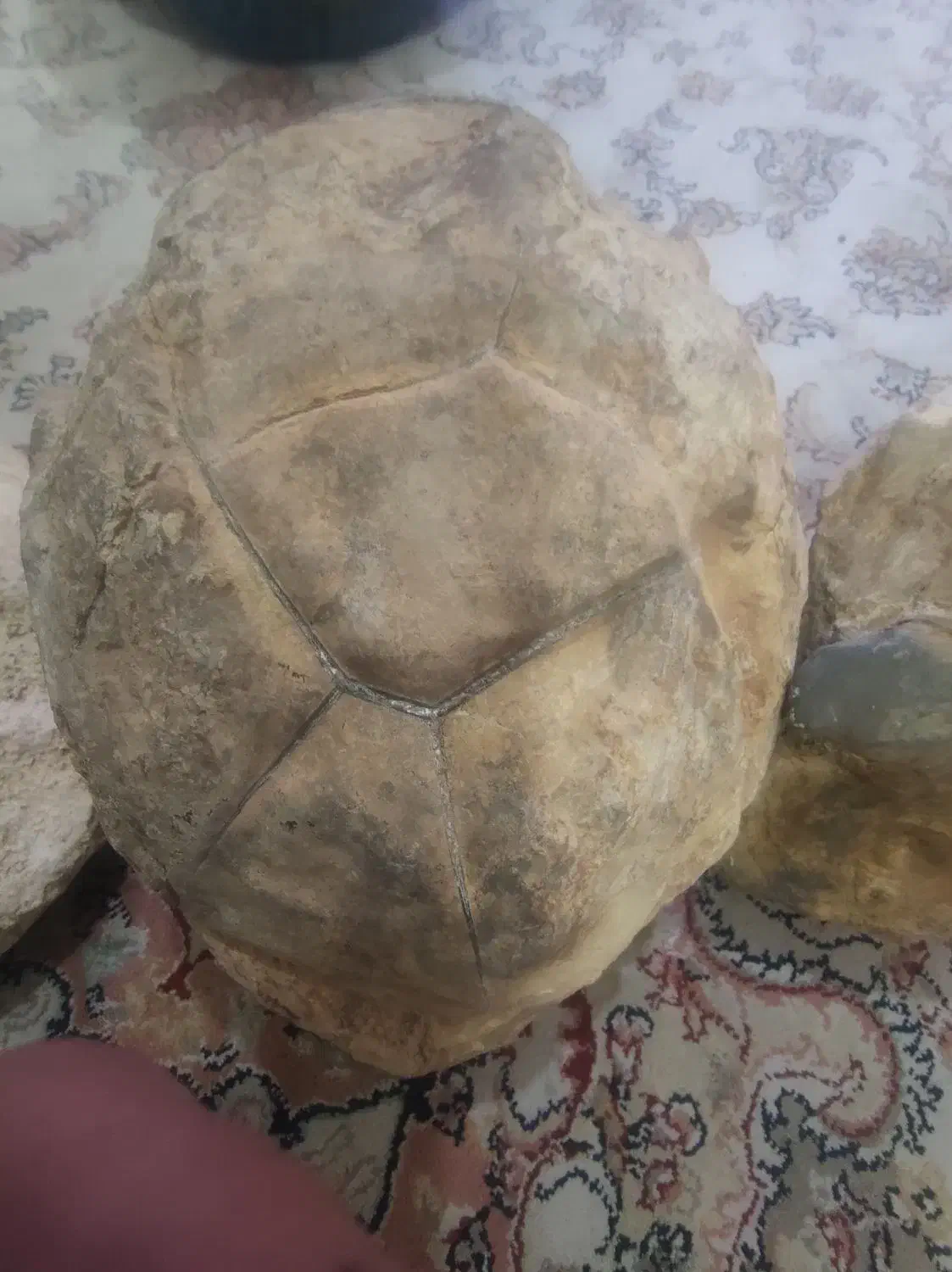 سنگ های قدیمی کلکسونی|کلکسیون اشیاء عتیقه|قم, علی آباد سعدگان|دیوار