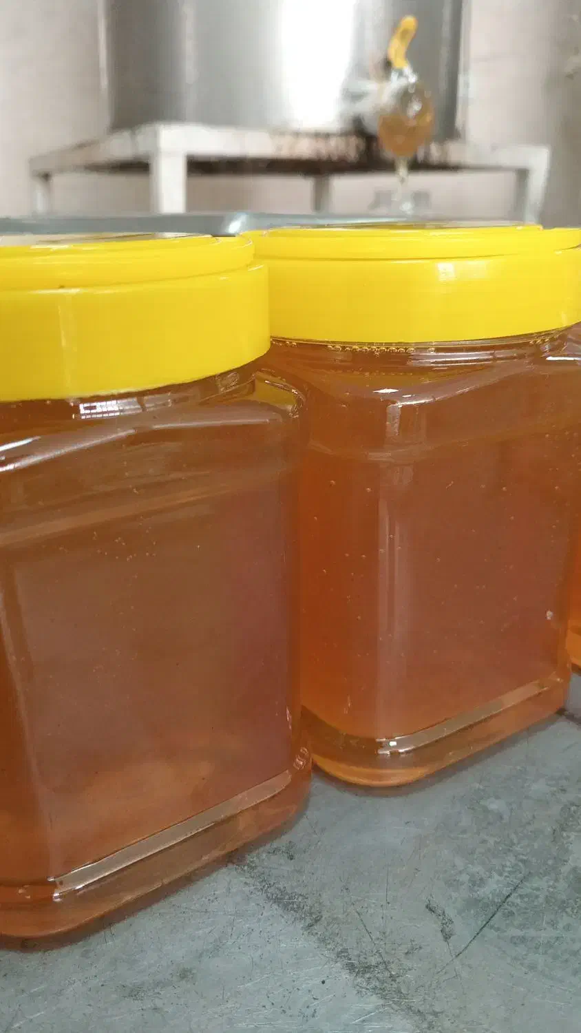 فروش عمده و خرده انواع عسل|خوردنی و آشامیدنی|آران و بیدگل, |دیوار