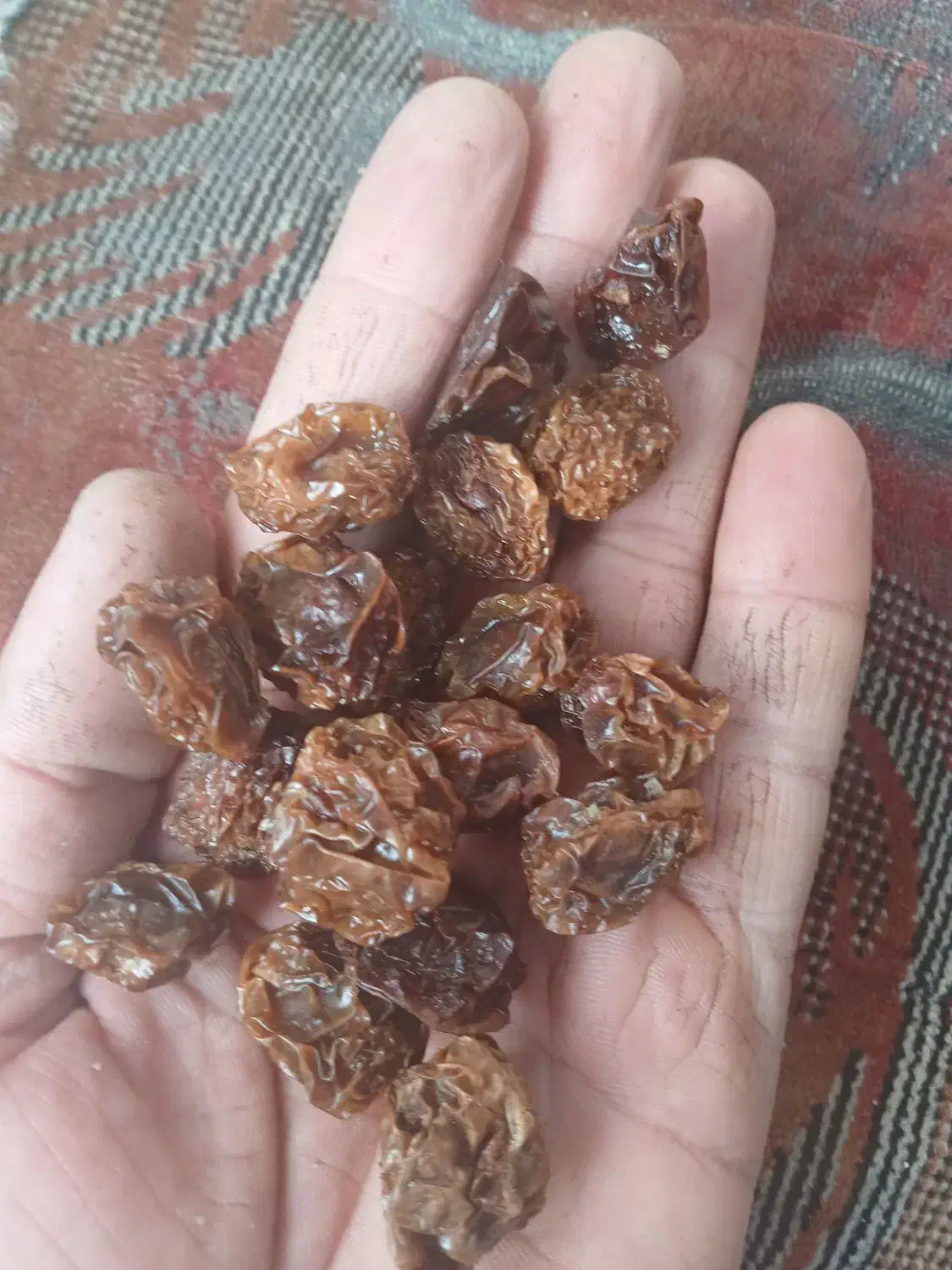 آلوچه|خوردنی و آشامیدنی|مرند, |دیوار