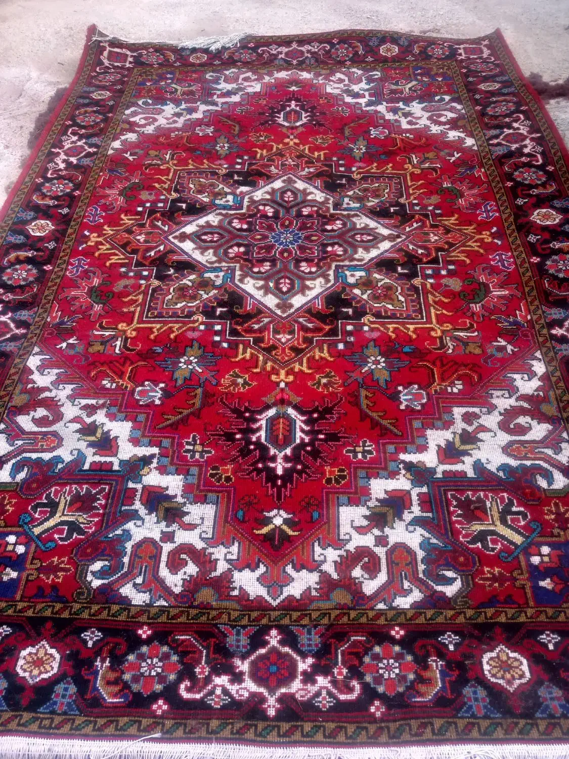 یک عدد فرش هریس تاجری|فرش|بستان آباد, |دیوار