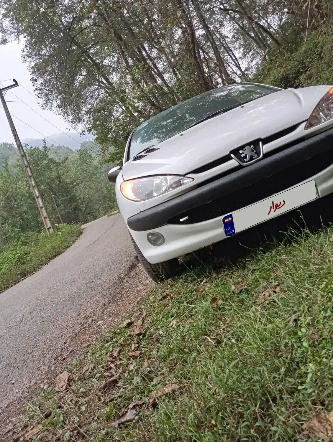 ۲۰۶|خودرو سواری و وانت|کرمان, |دیوار