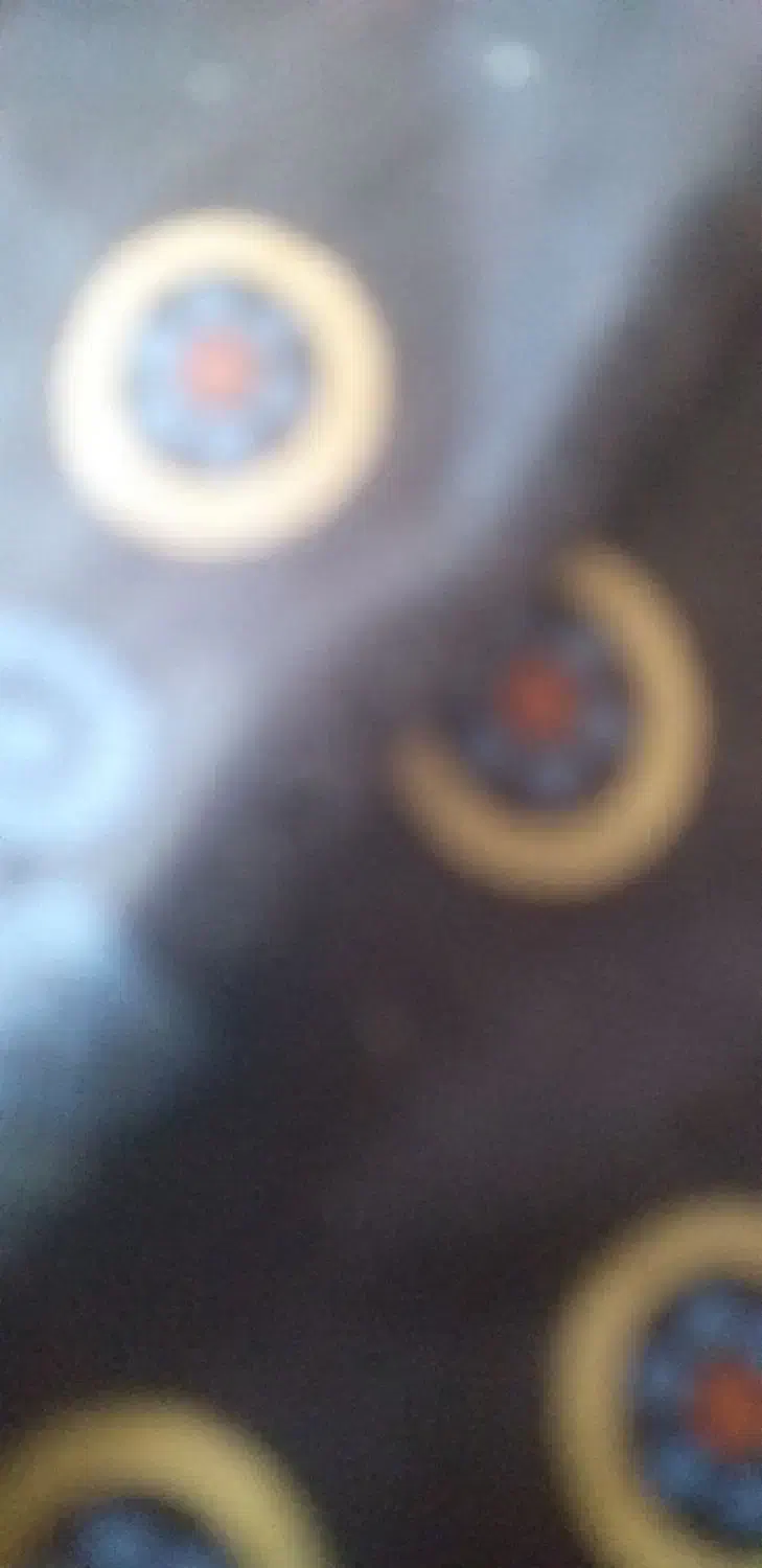 تخم کاسکو|پرنده|مهرستان, |دیوار