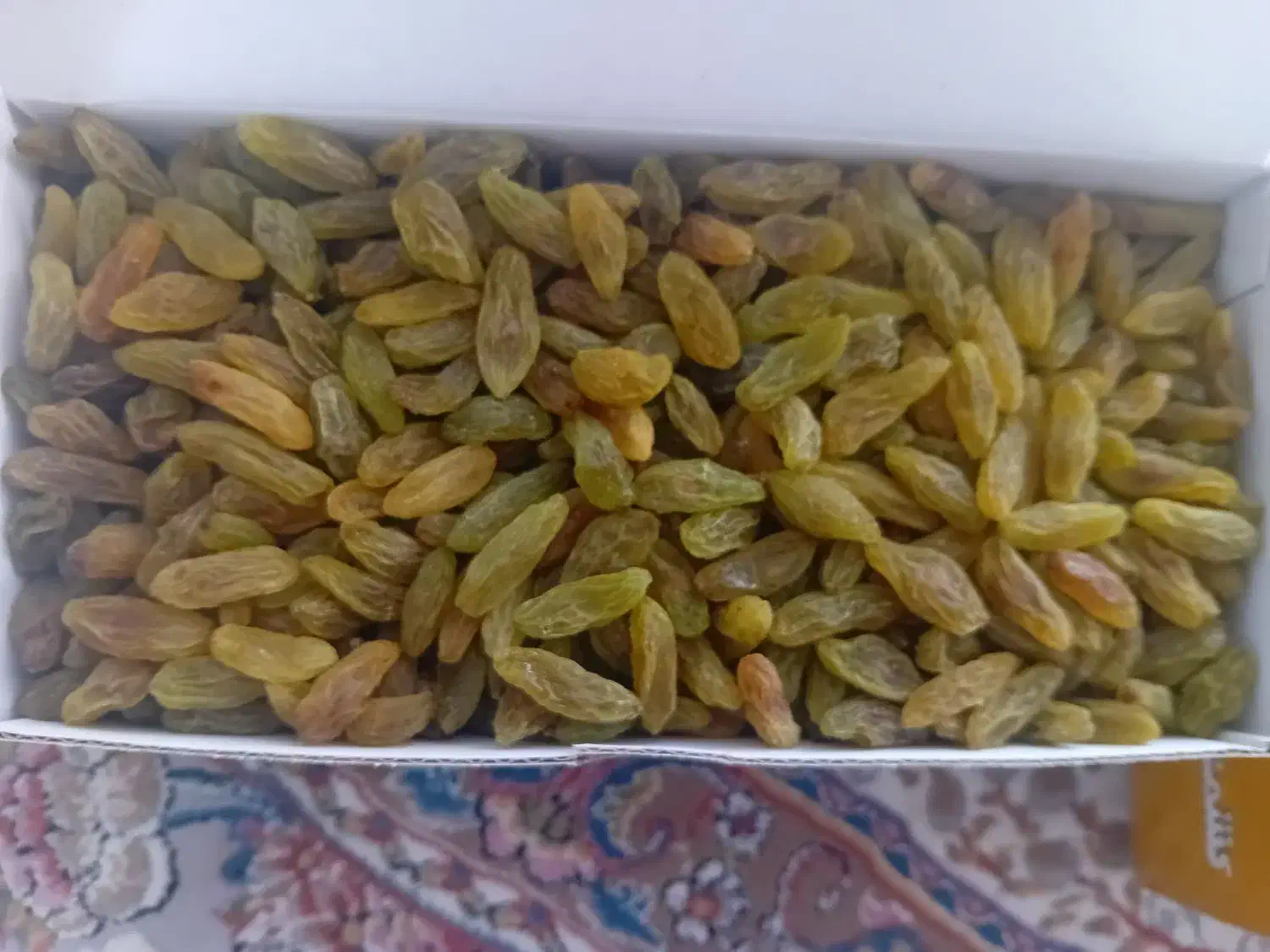 کیفیت رو ببین|خدمات باغبانی و درختکاری|تربتحیدریه, شهرک ولیعصر|دیوار