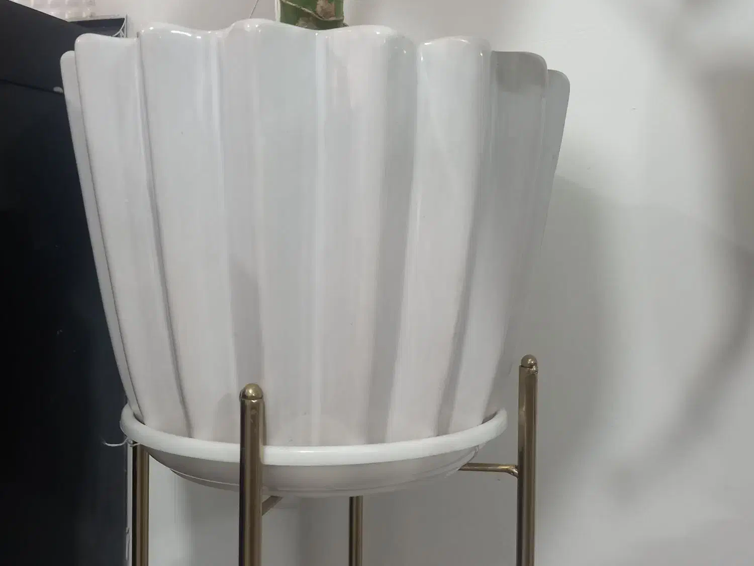 گلدان|گل و گیاه طبیعی|بهارستان, |دیوار