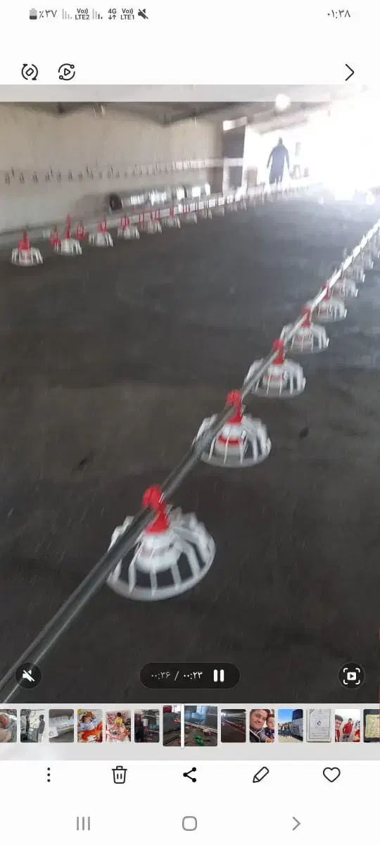 لوازم مرغداری|فروشگاه و مغازه|بیرجند, |دیوار