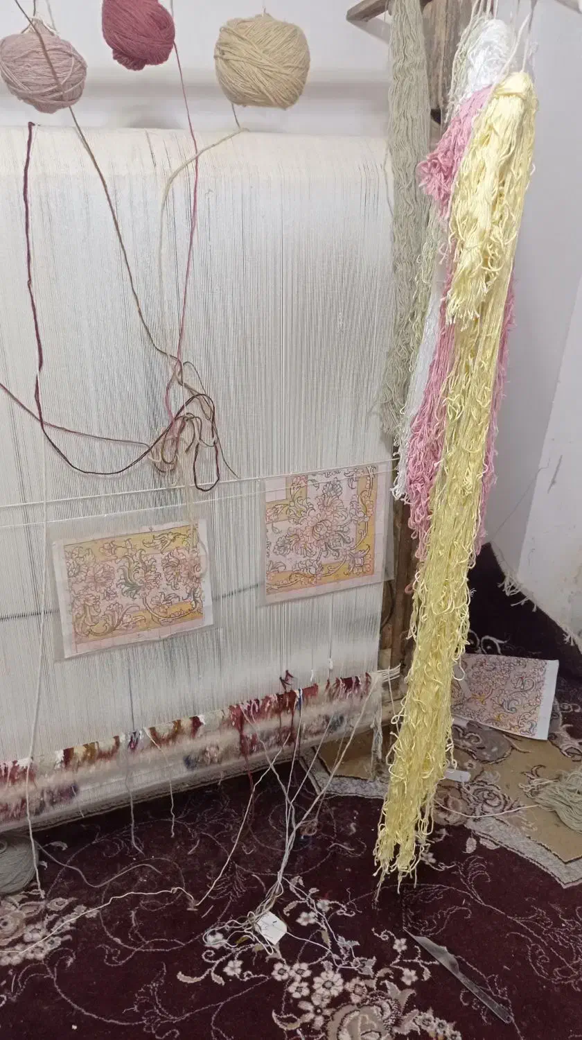 فروش قالیچه|فرش|آذرشهر, |دیوار