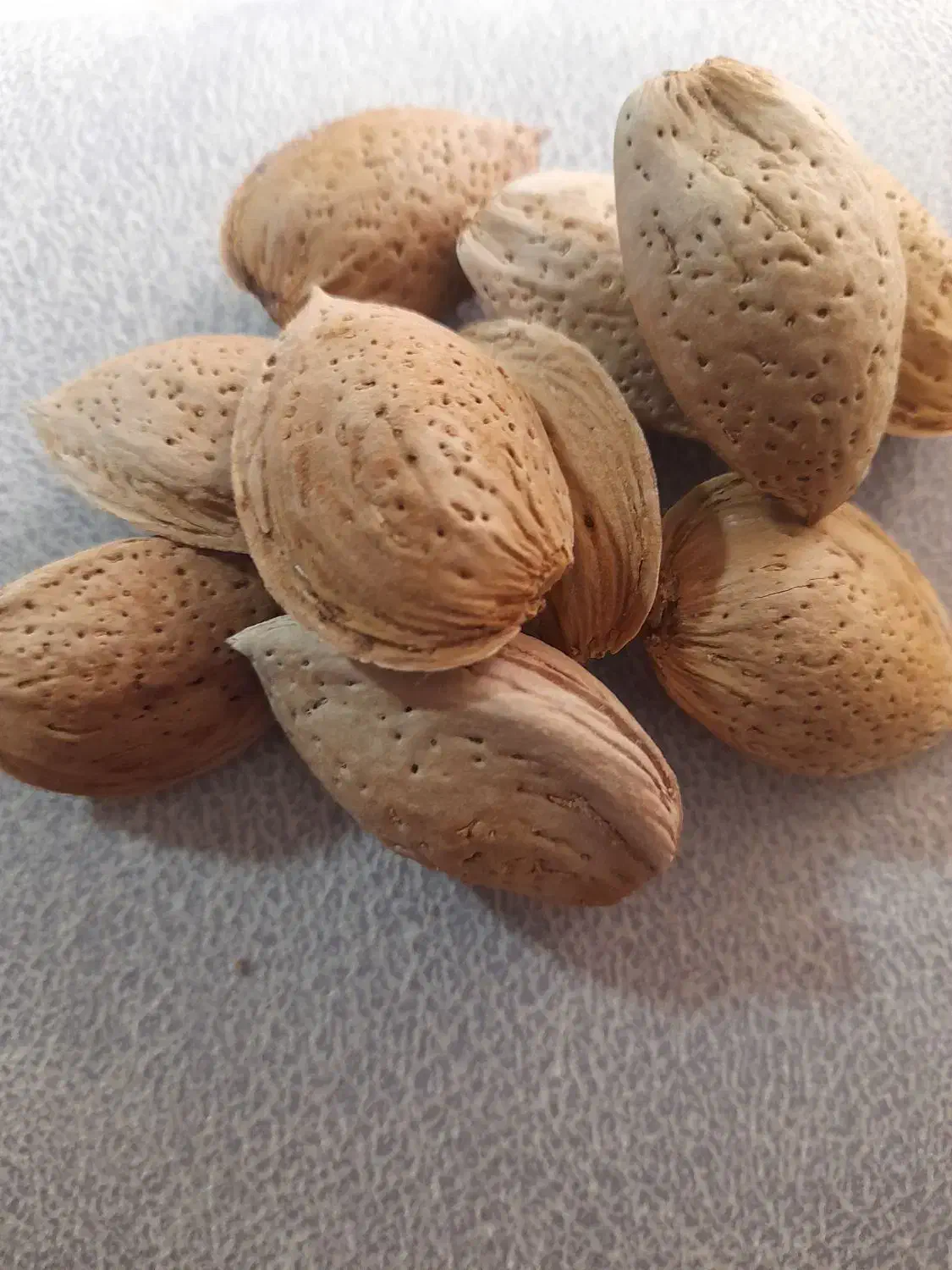 بادام نو|خوردنی و آشامیدنی|شیراز, بعثت|دیوار