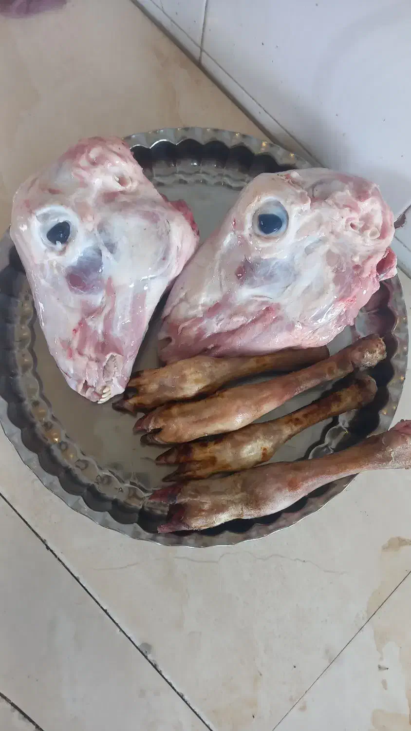 کله و پاچه پاک شده بره|خوردنی و آشامیدنی|گرمی, |دیوار