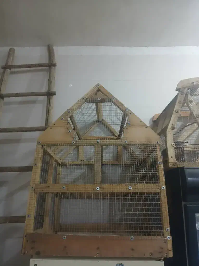 قفس پرنده|لوازم جانبی حیوانات|شادگان, |دیوار