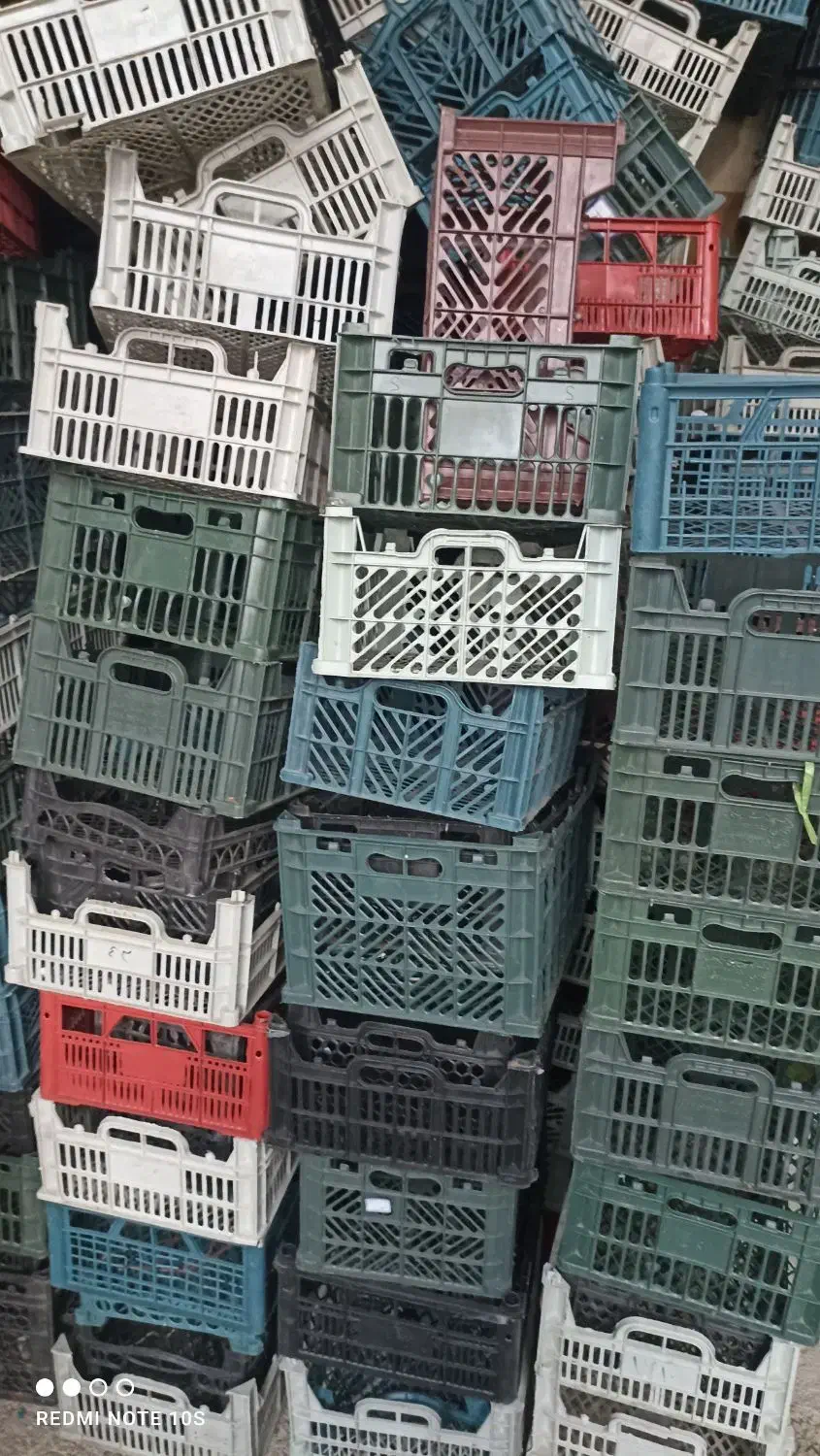 سبد جای میوه|ظروف نگهدارنده، پلاستیکی، یک‌بارمصرف|مریوان, |دیوار