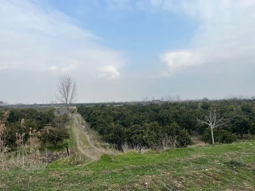 زمین کشاورزی دینک ۱۰۰۰ متر|فروش زمین و ملک کلنگی|آکند, |دیوار