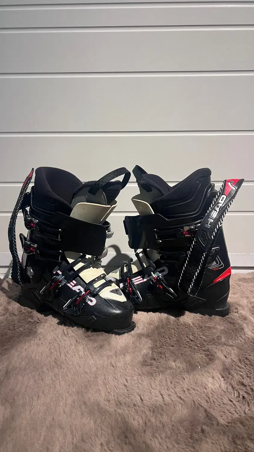 بوت اسکی الپاین|ورزش‌های زمستانی|رامسر, |دیوار