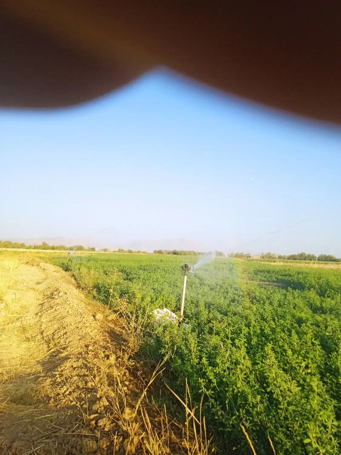 اجاره زمین کشاورزی|اجارهٔ دفتر صنعتی، کشاورزی، تجاری|ملایر, |دیوار