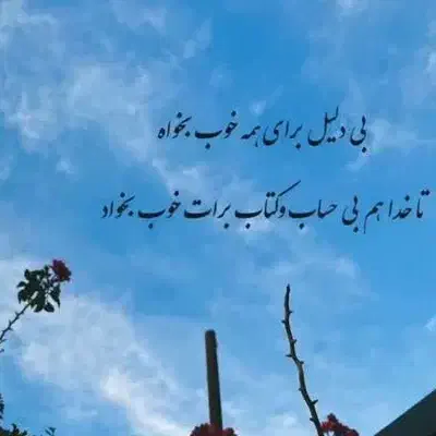 رایگان طلابگیر|فعالیت داوطلبانه|همدان, |دیوار