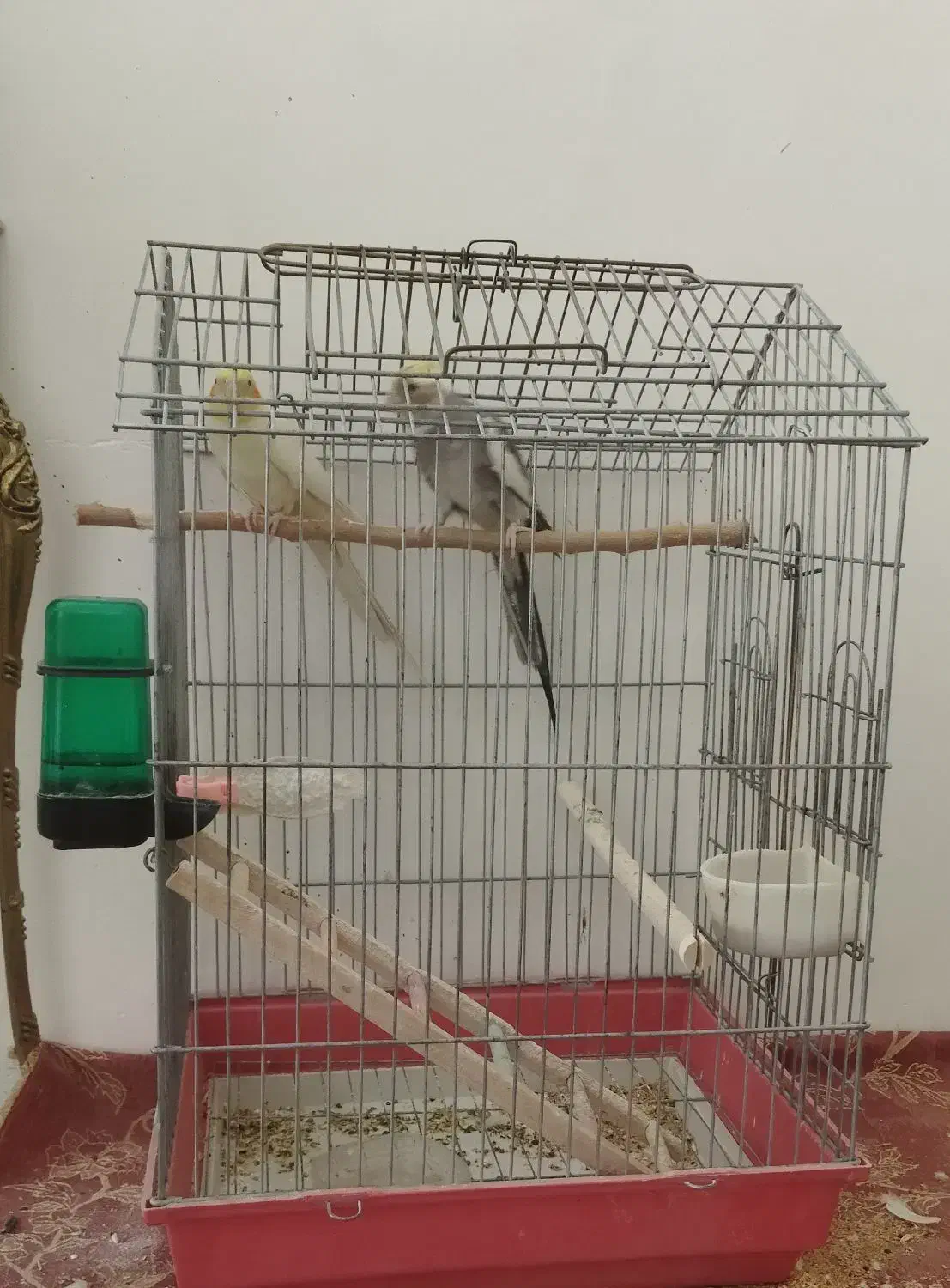 وسایل شخصی کودک|اسباب و اثاث بچه|ملایر, |دیوار