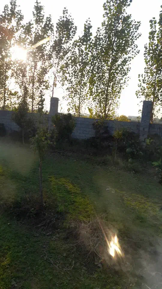 باغ مرکبات|فروش زمین و ملک کلنگی|هادی شهر, |دیوار