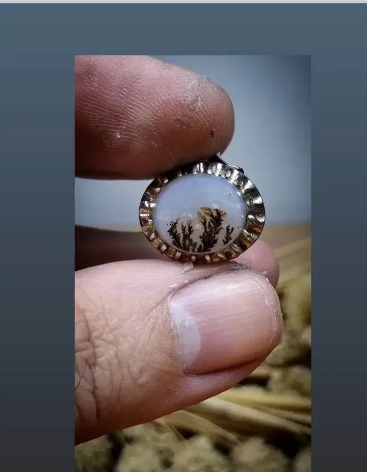 انگشتر شجر قائنات زنده و اصل|جواهرات|رشت, حافظ آباد|دیوار