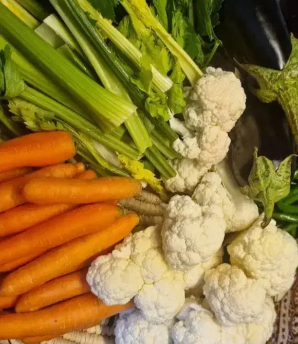 انواع ترشی وشوری های خونگیم|خوردنی و آشامیدنی|شیراز, فضلآباد|دیوار