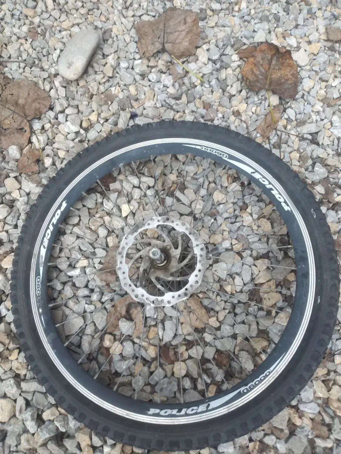 لاستیک دوچرخه|دوچرخه، اسکیت، اسکوتر|بندر انزلی, پیل علی باغ|دیوار