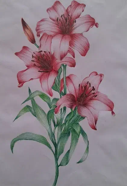 طراحی|تابلو، نقاشی، عکس|گناباد, |دیوار