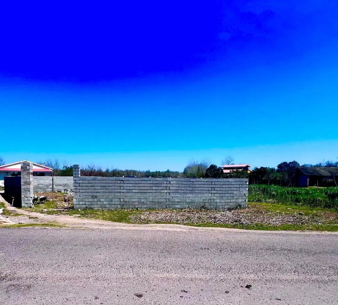 زمین مسکونی 300متر با پروانه ساخت /جاده زیباکنار|فروش زمین و ملک کلنگی|رشت, دیلمان|دیوار
