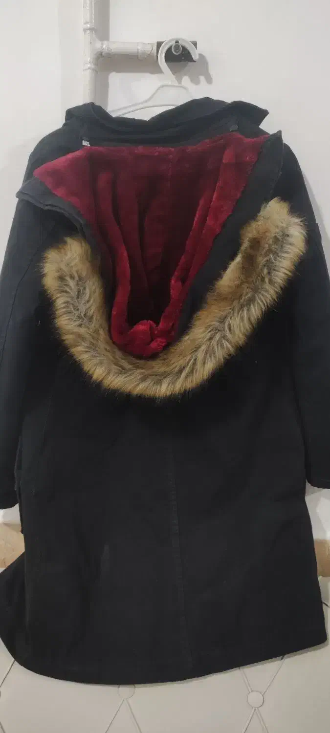 پالتو|لباس|اندیمشک, |دیوار