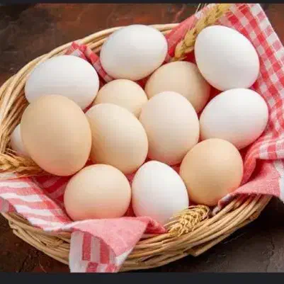 تخم مرغ نطفه دارابریشمی ومرغ وخروس تخم گذاروجوجه|حیوانات مزرعه|قم, حاج خلیل|دیوار