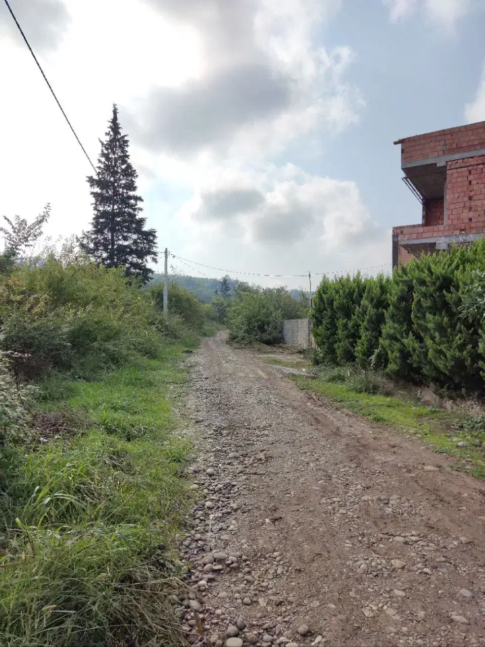 زمین قابل ساخت باانشعابات دربابلکنار|فروش دفتر صنعتی، کشاورزی، تجاری|مرزیکلا, |دیوار