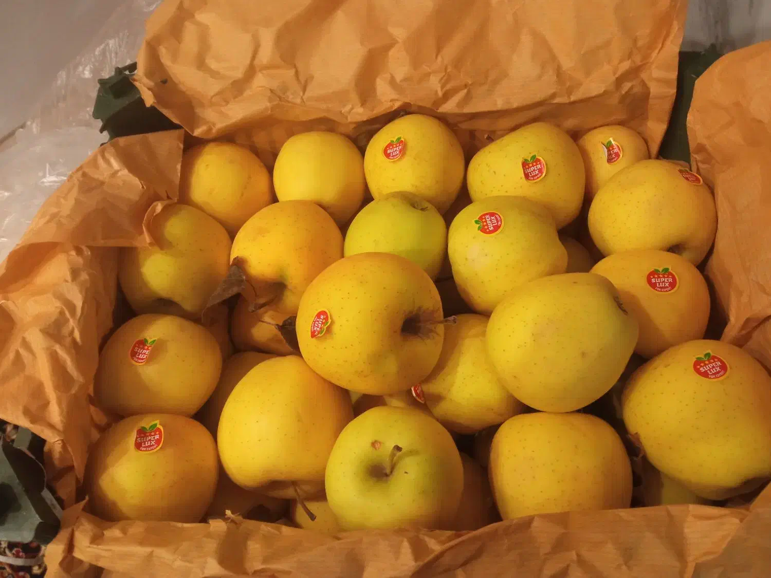 سیب کوهپایه|خوردنی و آشامیدنی|سیلوانه, |دیوار