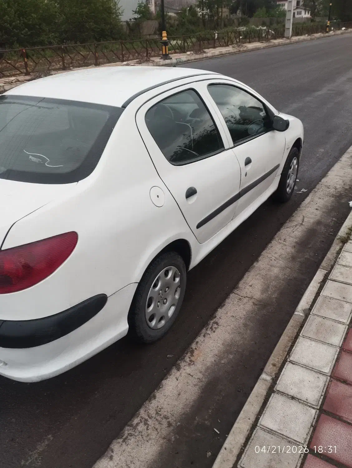 206 sd سفید|خودرو سواری و وانت|رشت, کاکتوس|دیوار