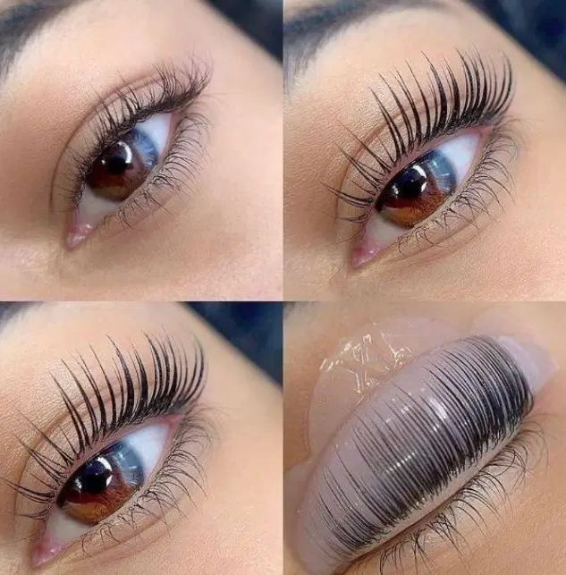 استخدام و آموزش لیفت کره ای و کاشت مژه و حنا ابرو|استخدام درمانی، زیبایی، بهداشتی|تبریز, |دیوار