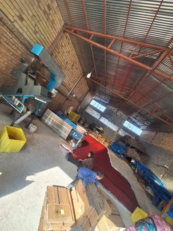 پخش خشکبار زرشک|عمده‌فروشی|زهان, |دیوار