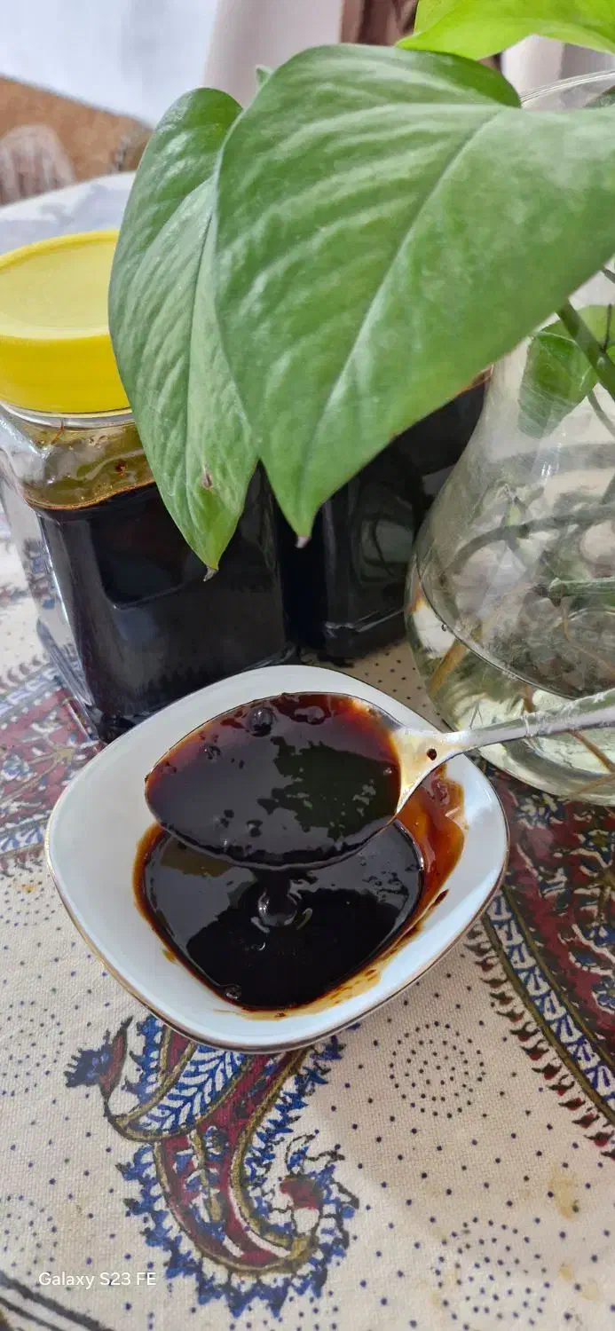 رب انارارگانیک محصول امسال کازرون|خوردنی و آشامیدنی|اهرم, |دیوار