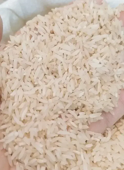 میانباری طارم محلی درشته درشت|خوردنی و آشامیدنی|گنبد کاووس, |دیوار