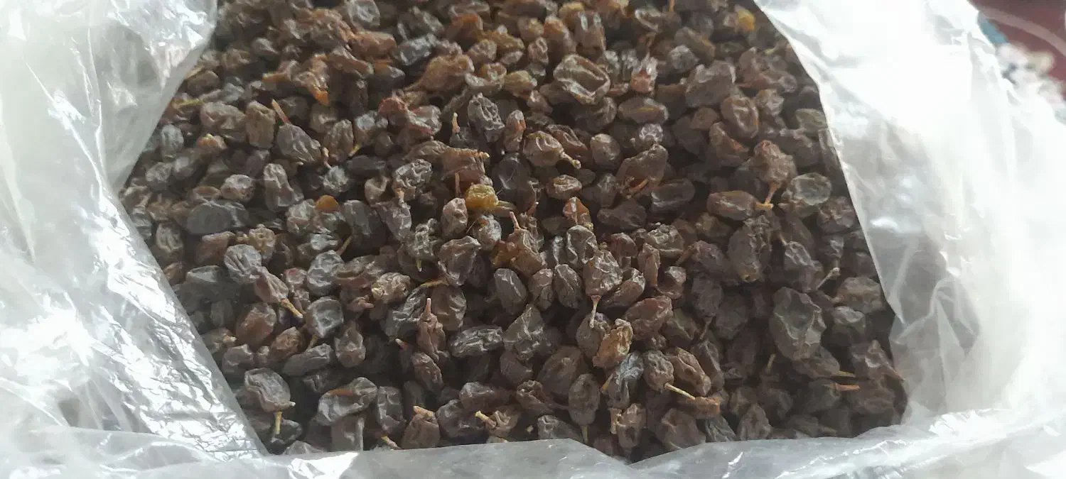 کشمش افتابی|خوردنی و آشامیدنی|قم, ولیعصر|دیوار