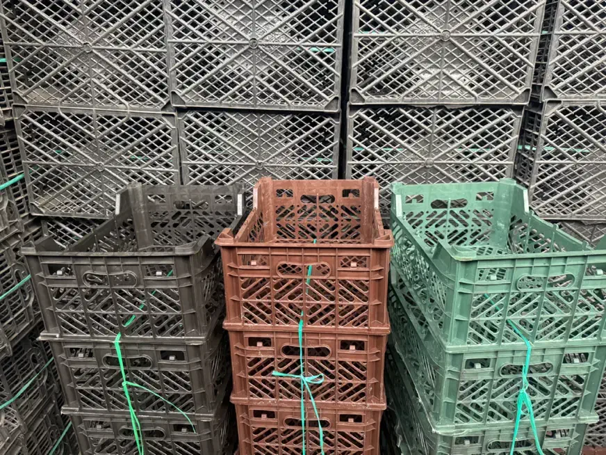 سبدزنی|عمده‌فروشی|کرج, اسلام‌آباد|دیوار